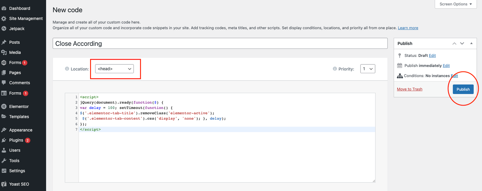 Elementor New Custom Code
