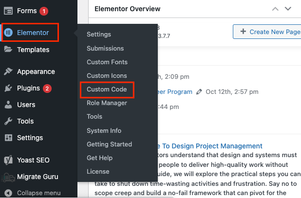 Elementor Custom Code